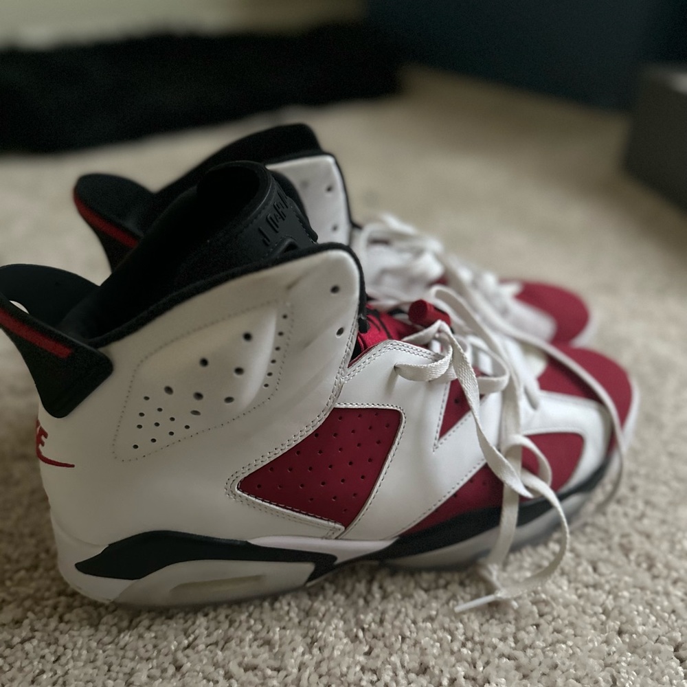 Jordan carmine 6s